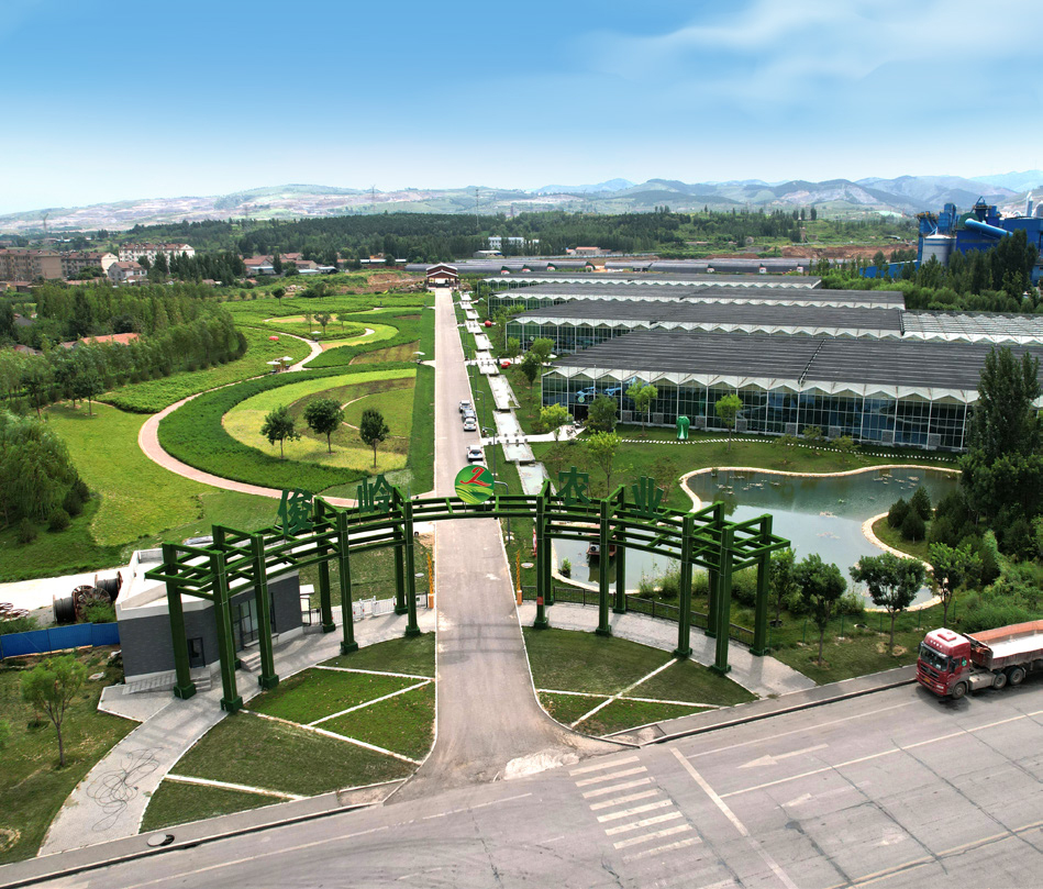 淄川区岭子镇俊岭农业田园综合体一期全过程咨询项目